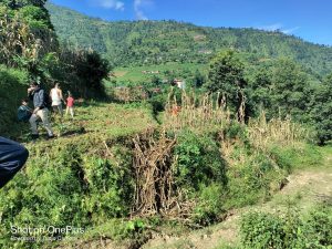 Urgent land for sale