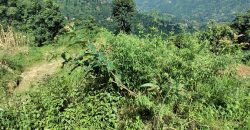 Land at Dhunibesi Munnipalcity ward-6 Naubise