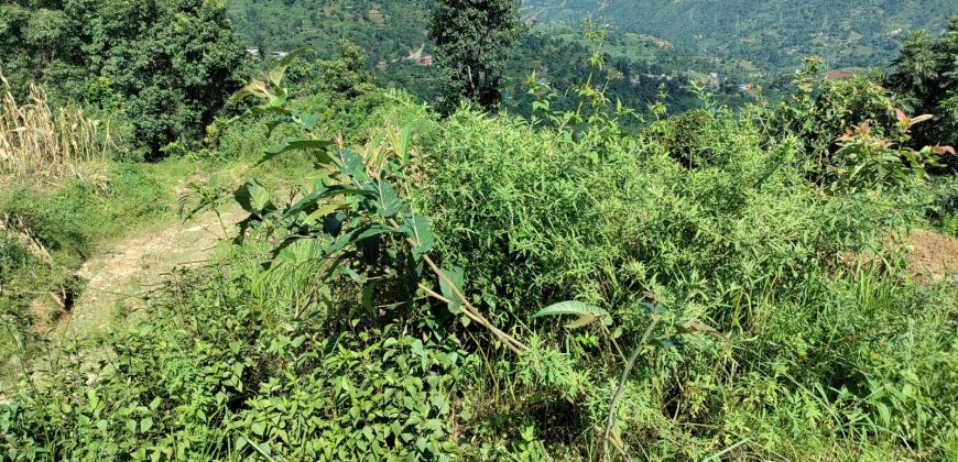 Land at Dhunibesi Munnipalcity ward-6 Naubise