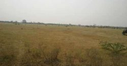 land for sale at bhimdhunga nagarjun