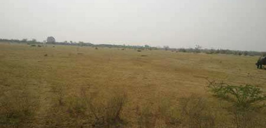 land for sale at bhimdhunga nagarjun