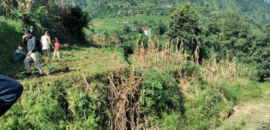 land for sale at bhimdhunga nagarjun