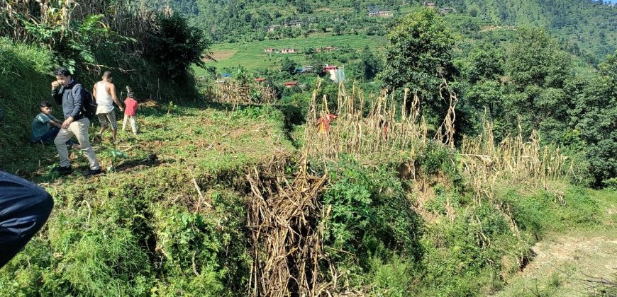 Land at Dhunibesi Munnipalcity ward-6 Naubise