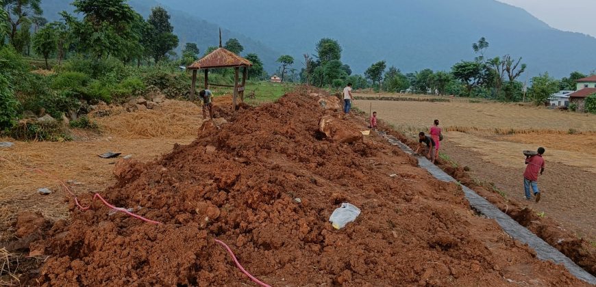 Excellent land fpr sale at Daldale,Devchuli municipality-7