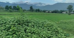 Land at Dhunibesi Munnipalcity ward-6 Naubise