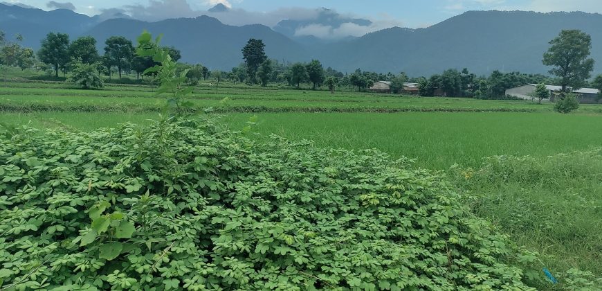 Land at Dhunibesi Munnipalcity ward-6 Naubise