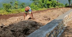 Excellent land fpr sale at Daldale,Devchuli municipality-7