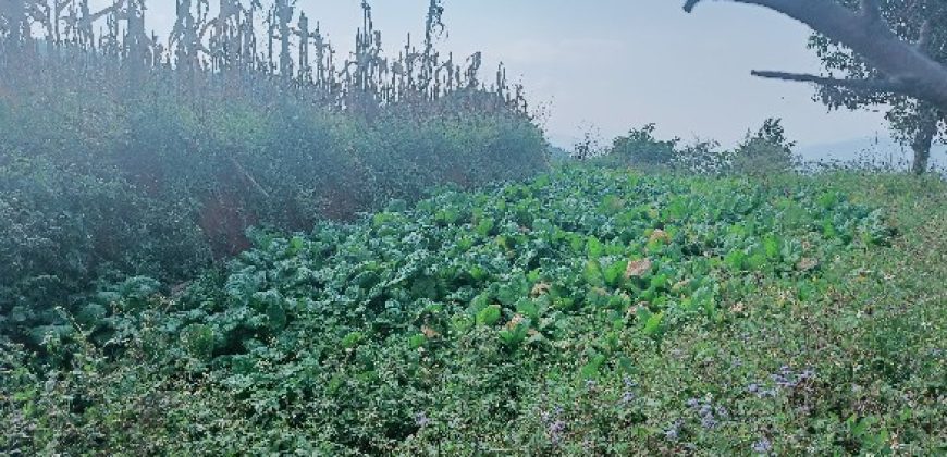 land for sale at bhimdhunga nagarjun