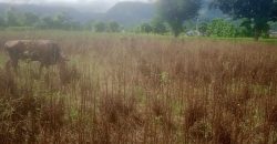 land for sale at bhimdhunga nagarjun